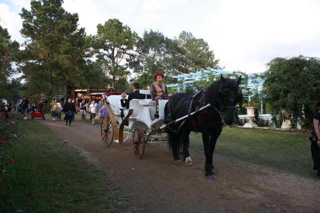 Texas Renaissance Festival - 3