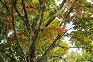 AJ's Photography - 61