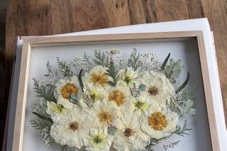 White Poppy Preservation - 20