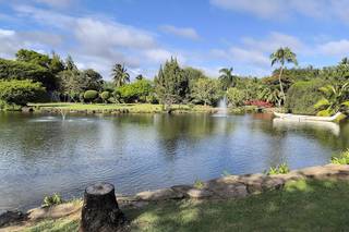 The Hawaiian Minister - 7