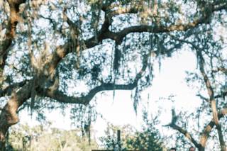 Wehner Weddings, LLC - 6