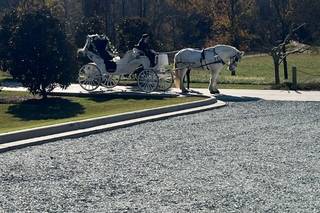 Carolina Carriages - 1