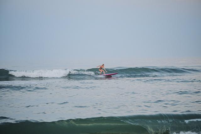 Tashena Shaw Photography - 1