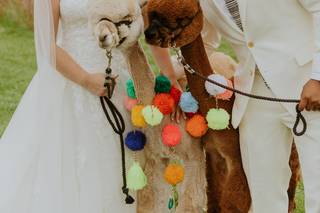 Mallory Williams Photography - 9