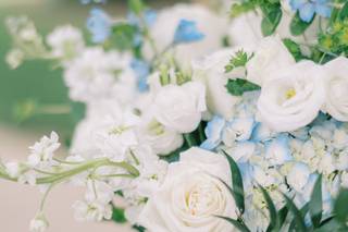 Claire Paige Floral - 31
