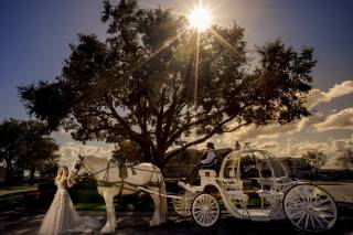 Leandro Da Silva Photography - 12