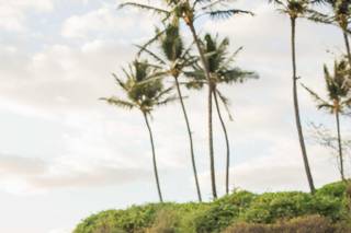 Anna Kim Photography - 8