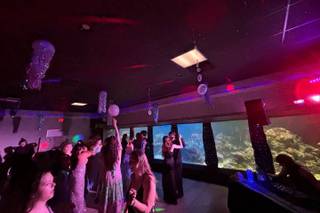 Gulfarium Marine Adventure Park - 19