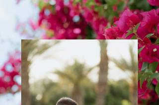 Stevie Dee Photography - 6