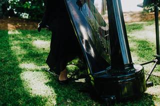 The Macon Harpist, Calista Anne Koch - 1