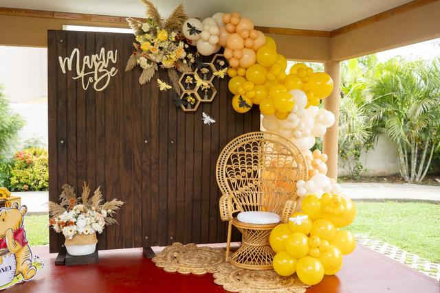 Millenium Luxury Occasions Ltd. - 1