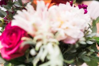 Heather Faulkner Photography - 12
