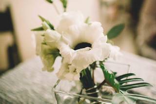 Lola & Co. Events - 5