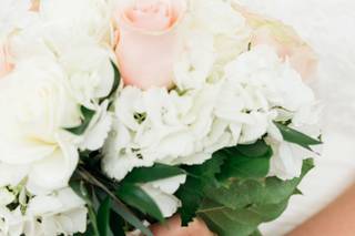 Tracy Rodriguez Photography - 7