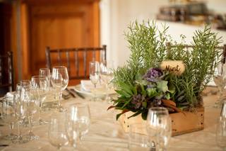 Peony Design Studio - 50