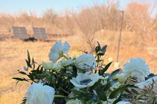Lavender and Love Florals - 9