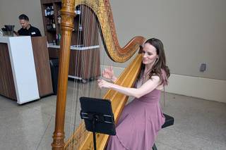 Modern Fairytale Wedding Harpist - 5