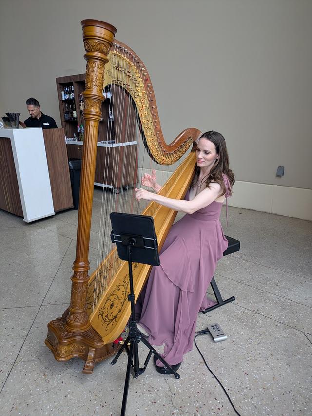 Modern Fairytale Wedding Harpist - 1