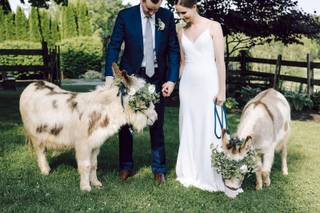 Justin Johnson Photography - 7