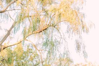 Britt Lee Wedding & Portrait Photography - 14