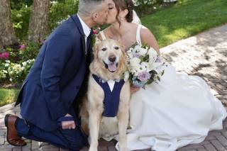 Happy Bark & Tails - 8