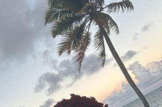 Caribbean Wedding - 5