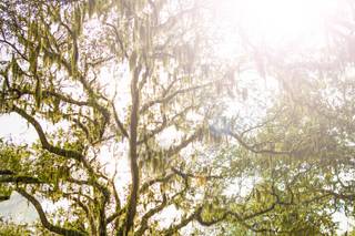 CoryBeth Images - 8