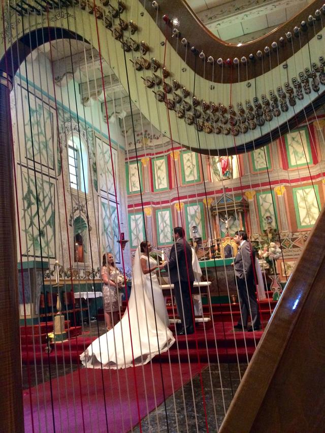 Laurie Rasmussen, Harpist - 3