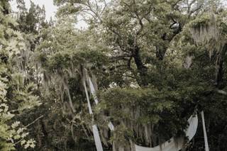 Wrightsville Manor - 34