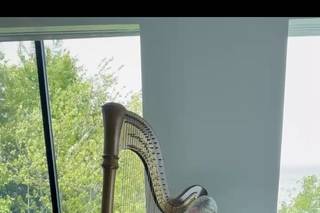 Debbie Beck - Harpist - 6