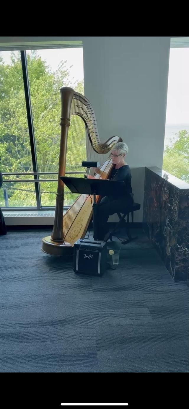 Debbie Beck - Harpist - 2