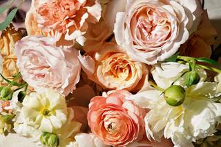 Flowers For Dreams - 61