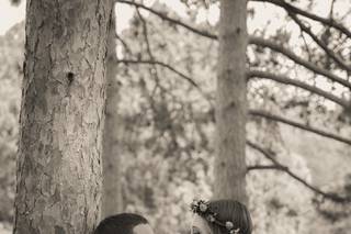North Light Photography LLC - 10