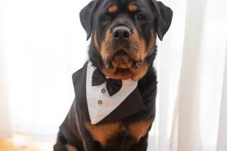 Jenifer Santo Photography - 42
