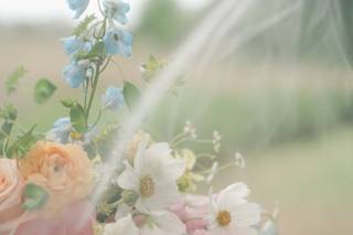 Tupelo Honey Flower Shop & Co. - 7