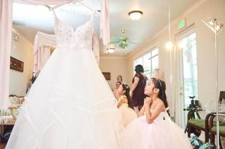 Tie the Knot Bridal Couture Collections - 7