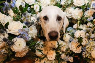 Kristin Griffin Photography - 35
