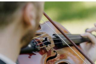 Nick Kennerly Violin - 8