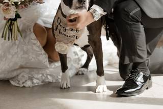 Wilder Mind Events, LLC - 24