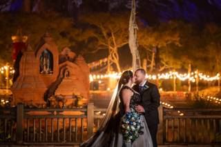 Disney Fine Art Photography & Videography - 6