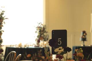 The Bloom Of Time - 7