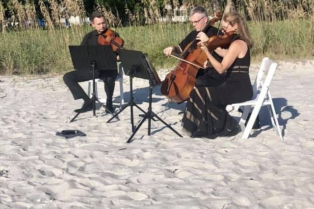 The Vanderbilt Strings 1