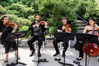 The Delmonico String Quartet - 7
