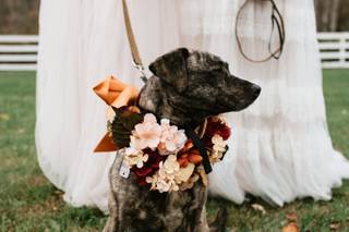 Novella Photography - 19