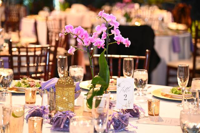 Wedding Stories By Tania - 4