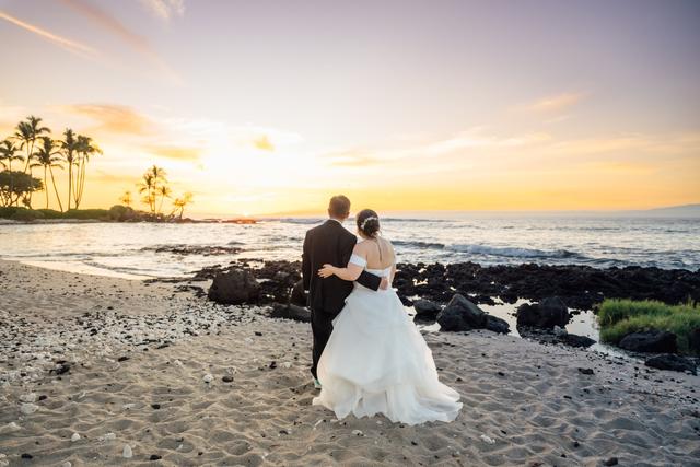 Ann Ferguson Photography - 1