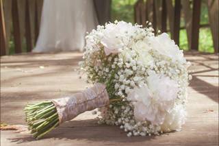 Picture Perfect Moments LLC - 16
