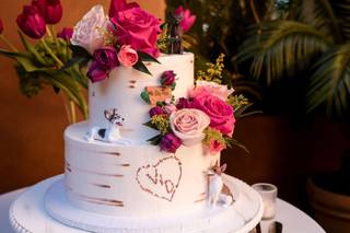 Cake Expressions - 5