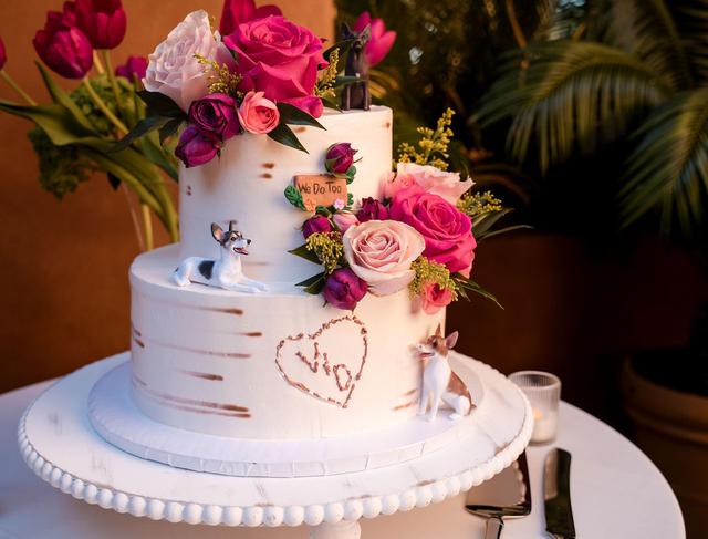 Cake Expressions - 1