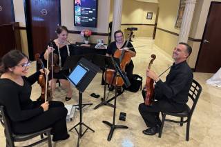 Ocean Strings / Ocean String Quartet - 10